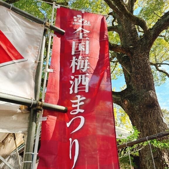 梅酒祭り☆*。うめ(*´༥`*)うめ☆*。