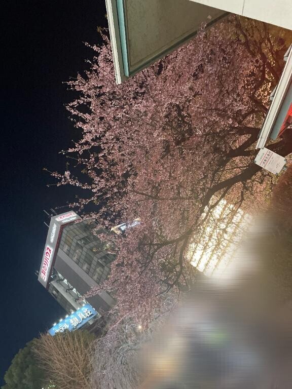 ､(  ・ω・ ､)ﾊﾅｼｷｲﾃ