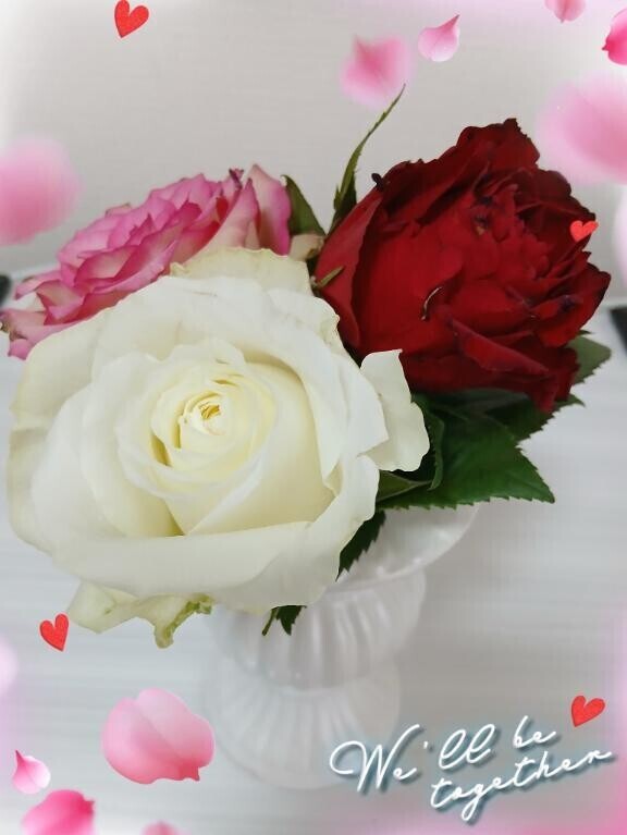 【お礼写メ日記】