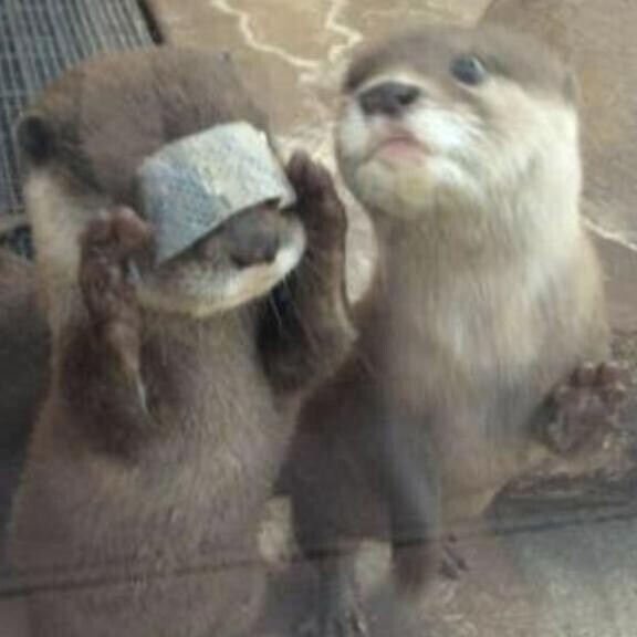 今日もお休みします！！