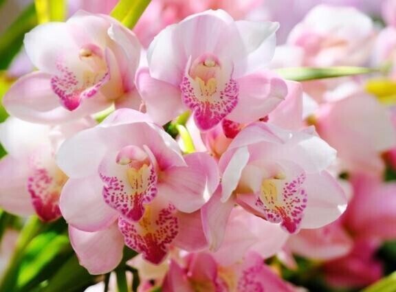 素敵なこと考えよう