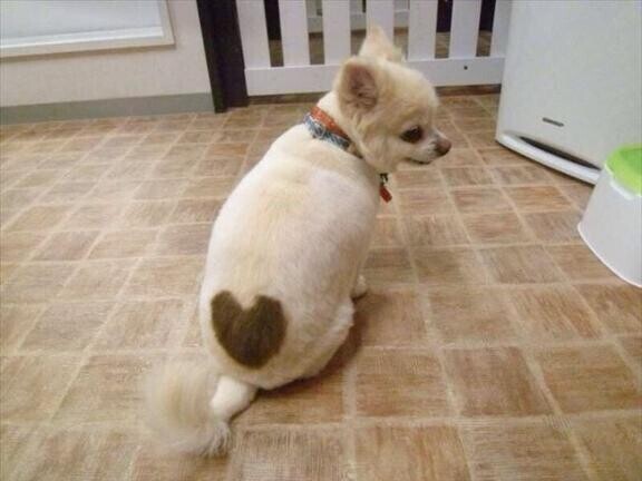 ありがとうございます