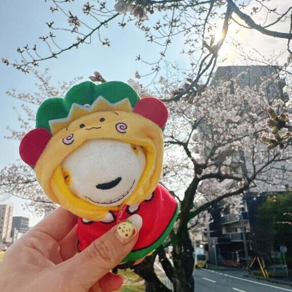 お花見したいな～