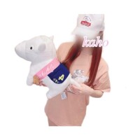 かほ