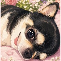 まお