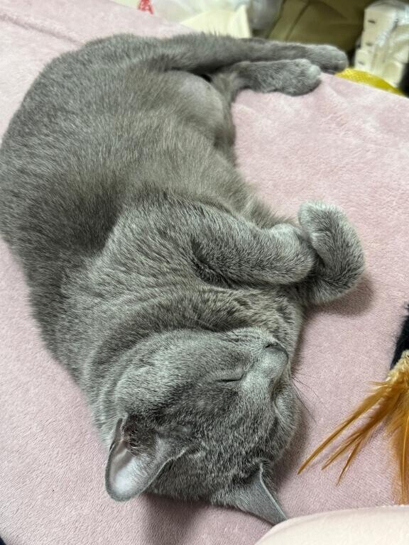 お休みなさい♡