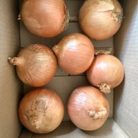 ハマってるの