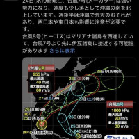 好きすぎて中に入りたくなるやつか！？