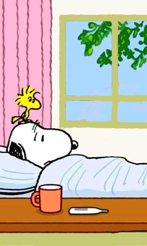 おやすみです🤒