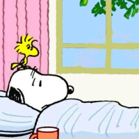 おやすみです🤒