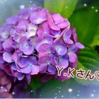 美月かおり