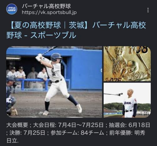 夏の高校野球⚾️