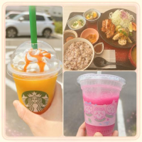 チートDay