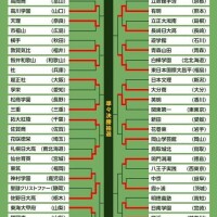 七海奈々