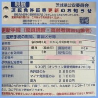 マイナ免許証⁉️
