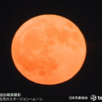 去年のですが