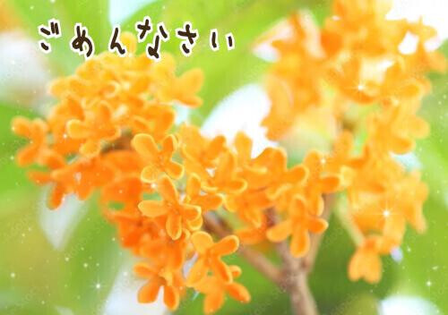 😔ごめんなさい