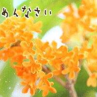 😔ごめんなさい
