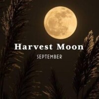 ハーベストムーン🌕