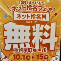 お得なイベント情報⭐︎