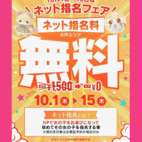 和泉さち