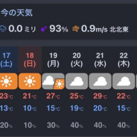七海奈々