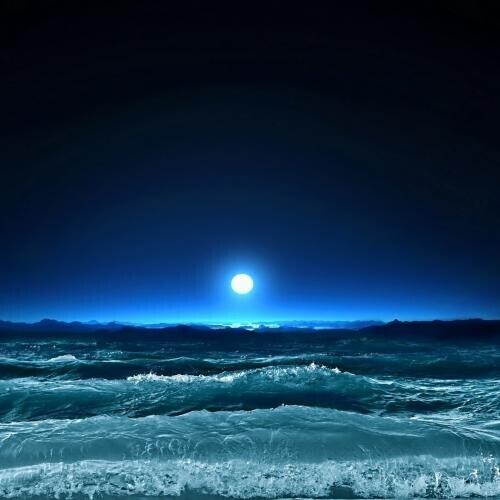 🌊夜海🌊