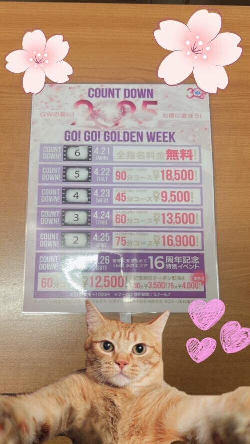 今月のイベント(*'▽'*)