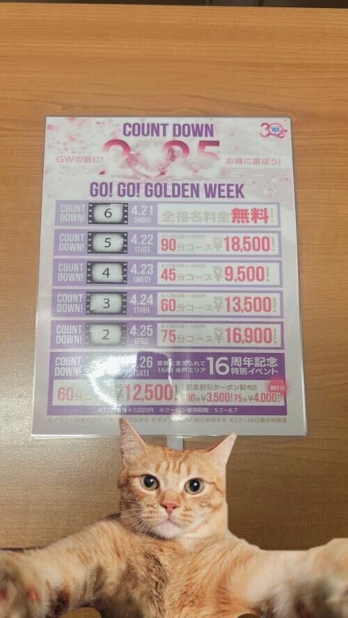 🤗お知らせ🤗　✨②✨