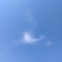 👼お礼日記👼　✨③✨　🤗28日㈪🤗