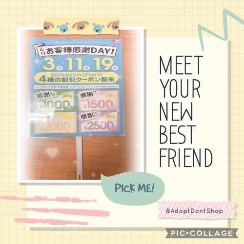 感謝DAY ってあるといいね♧
