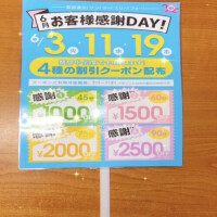 吉岡ひびき