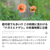 七海家のどうでもいい話