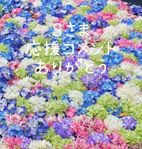 応援コメントありがとう💕