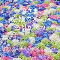 藤原ゆり