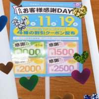 向井なな