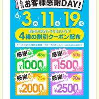 桔梗（ききょう）しおり
