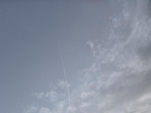 NoTitle