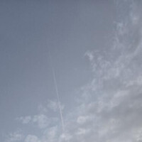 NoTitle