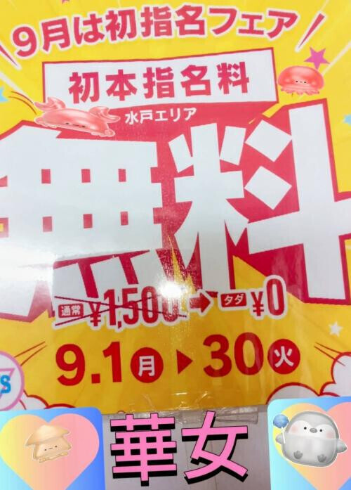 フェアやってます🥴