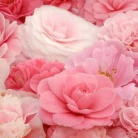 出勤♡