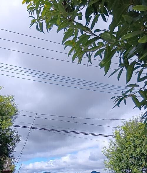 😶カーテン越しに😶　|дﾟ)ﾁﾗｯ