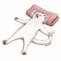 |ω・｀)ﾉ ﾔｧ　✨㉑✨　😀ありがとう😀