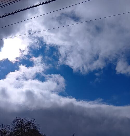 😎顔面乾燥予報😎