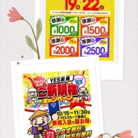 桔梗（ききょう）しおり