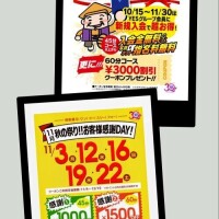 桔梗（ききょう）しおり