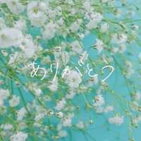 昨日のありがとう(⁠◕⁠ᴗ⁠◕⁠✿⁠)