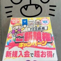 お気に入り🤩✌