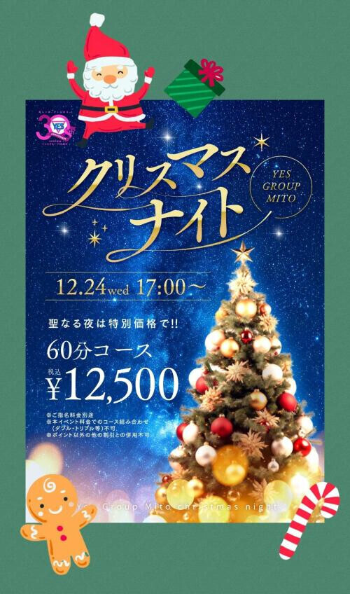 もう12月ですね🎄