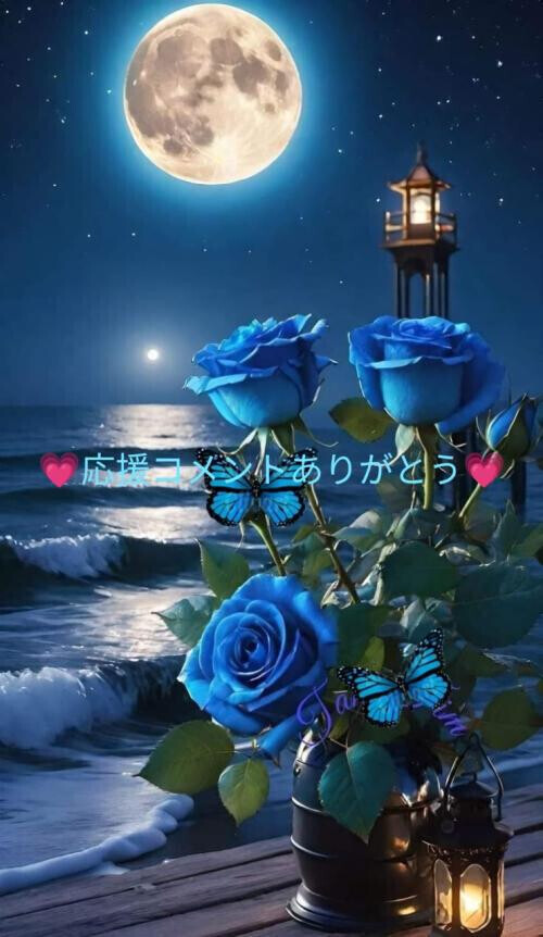 ✨応援コメントありがとう✨